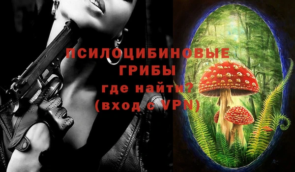 марки lsd Краснослободск