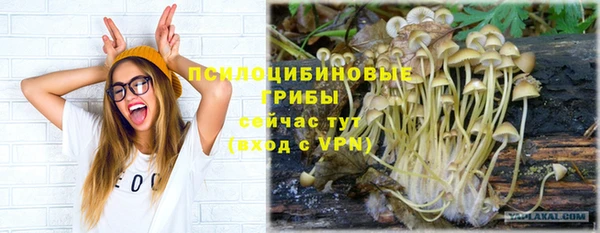 марки lsd Краснослободск