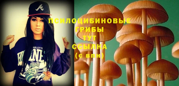 марки lsd Краснослободск